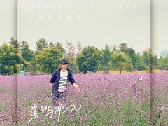 -荷兰花海