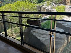-宁波野生动物园