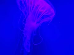 -沈阳海洋探索中心