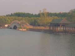 -塘沽森林公园