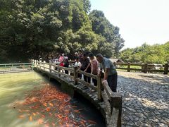 -龙瀑仙洞