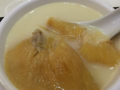 -凤城礼记鱼翅海鲜酒家(新马路总店)