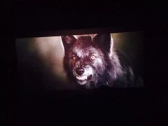 -中影新星影城(万科锦程店)