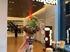 -哈根达斯(嘉里中心店)