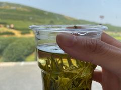 -龙坞茶村