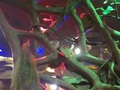 -醉小酒馆·川菜·江湖菜·重庆菜(观音桥旗舰店)