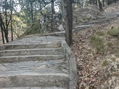 -北京鹫峰国家森林公园