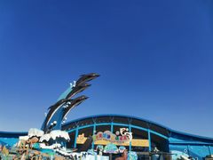 -泉城欧乐堡海洋极地世界