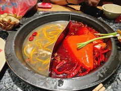 -蜀大侠火锅(总府路店)