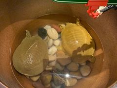 -望湘园·洞庭渔宴(永旺店)