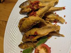 -青禾小厨新疆菜(总店)