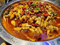 -美蛙四季(黄寺大街店)