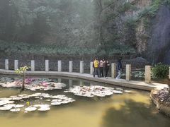 -西樵山风景名胜区-天湖公园