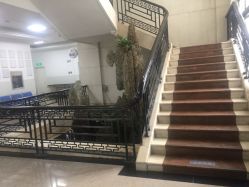 -温州伯思立医院