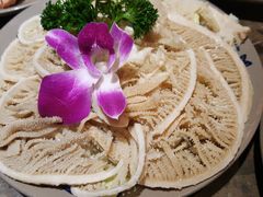 千层肚-重庆渝达老火锅(春熙路店)