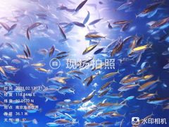 -南京海底世界