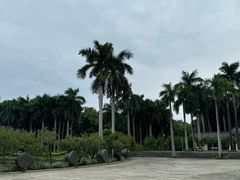 -南宁南湖公园