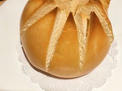 -连鹭海鲜·海肠捞饭·海胆饭(星海店)