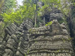 -梭布垭石林景区