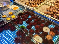 -桃源市场(解放路店)