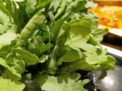 -王家渡火锅店(棕榈泉店)