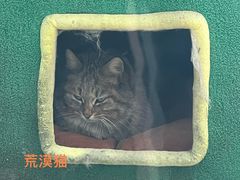 -青藏高原野生动物园