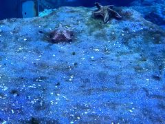 -海合安武汉极地海洋公园