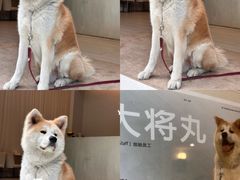 -YCHL Studios健身工作室(市二宫店)