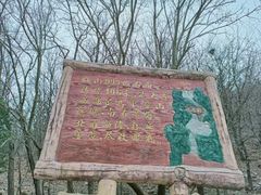 -金龙寺国家森林公园