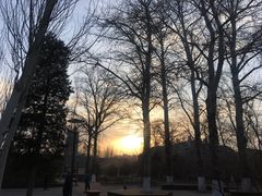 -比格比萨自助(万柳华联店)