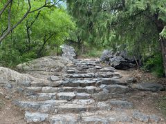 -阳台山自然风景区
