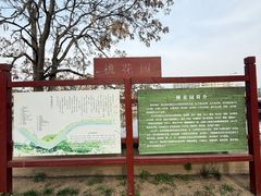-桃花堤公园