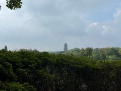 -宜兴龙背山森林公园