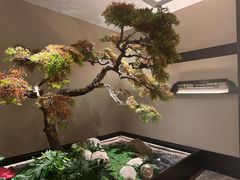 -湘上湘(正大中心总店)