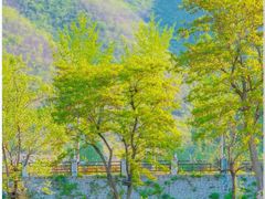 -静之湖度假区
