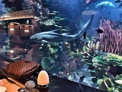 -迪拜帆船酒店海底餐厅