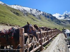 -新疆那拉提国家旅游度假区