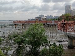 -霞山观海长廊
