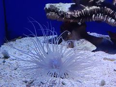 -青岛海底世界-水族馆