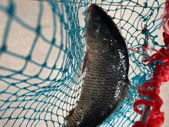 -何适山庄 ·可团建(水长城P2停车场店)