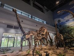 -自贡恐龙博物馆