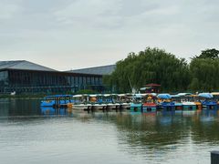 -上海长兴岛郊野公园