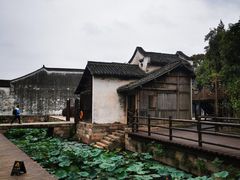 -乌镇西栅景区