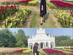 -杭州湾海上花田景区