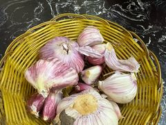 -后卫寨猫耳朵(后卫寨店)