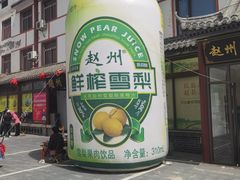 -赵州桥景区