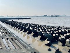 -上海滨江森林公园