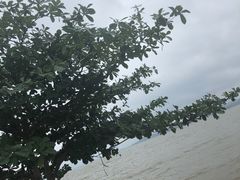 -深圳湾公园(南山区)