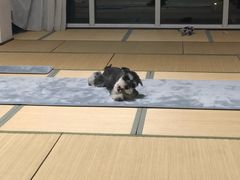 -仰生如卉推拿养生馆(酒仙桥店)