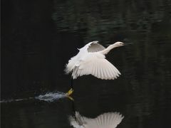 -重庆彩云湖湿地公园